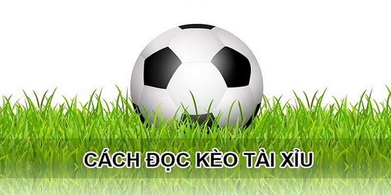 Kèo tài xỉu Các loại kèo tài xỉu phổ biến hiện nay