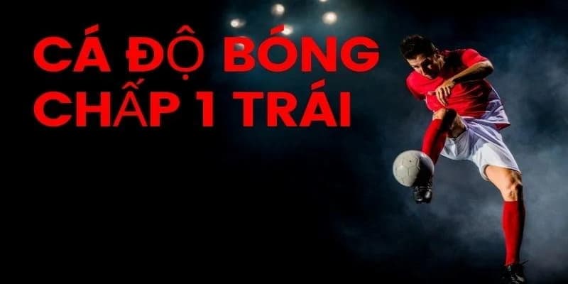 Kèo chấp 1 trái Cách đọc và hiểu tỷ lệ kèo chấp 1 trái