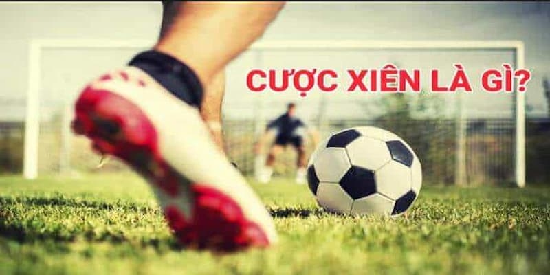 Cược xiên là gì và tại sao lại được ưa chuộng?