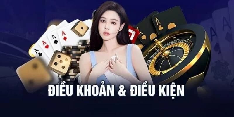 Điều kiện điều khoản Điều kiện điều khoản nhận khuyến mãi