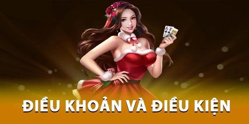 Điều kiện điều khoản Vì sao điều kiện điều khoản lại quan trọng?